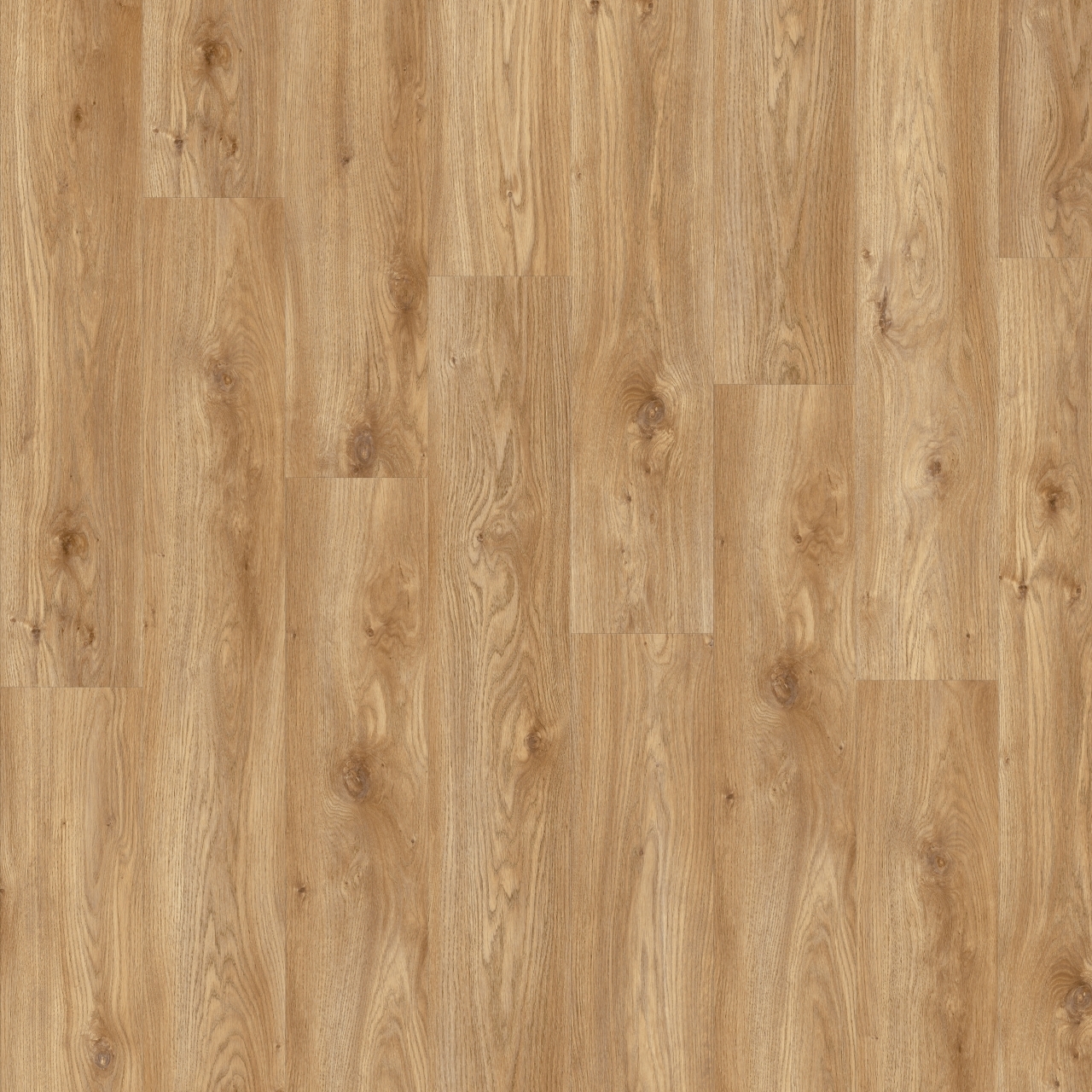 Moduleo - Roots - MODROOSIE58346STP - Sierra Oak 58346